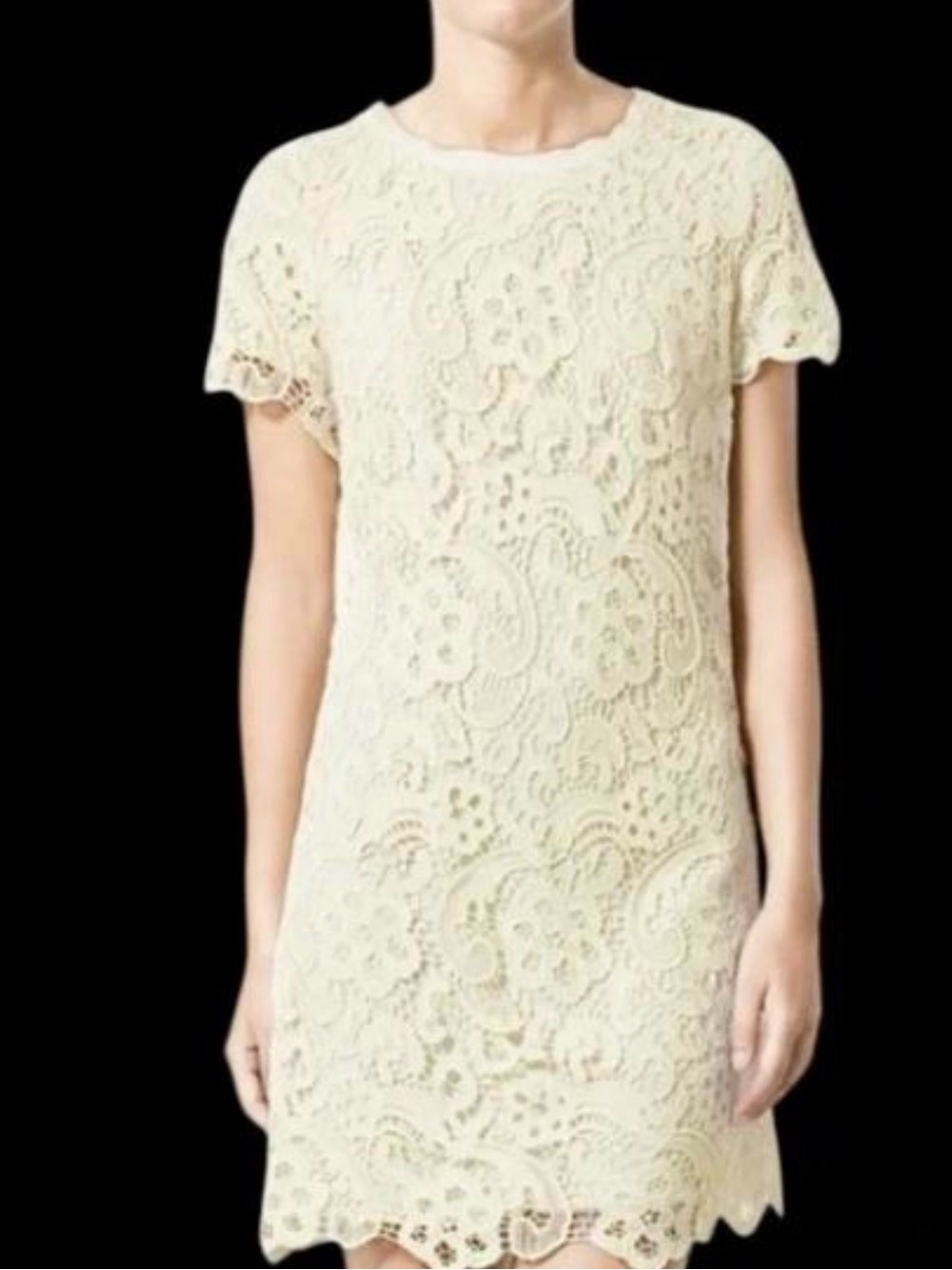 Zara Cream Lace Mini Dress LUP
